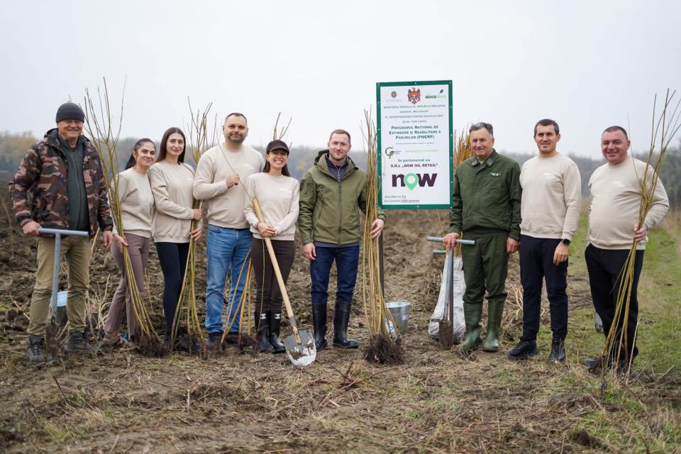 6 hectare de salcie plantate la Cîșlița-Prut în cadrul campaniei naționale de împădurire