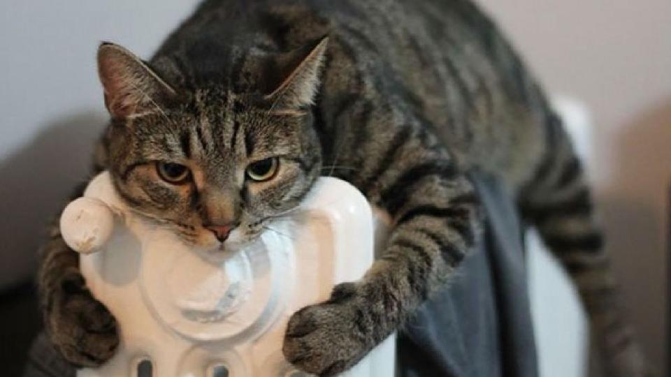 Locatarii de la bloc trebuie să mențină cel puțin 18°C în apartamente pe durata sezonului de încălzire