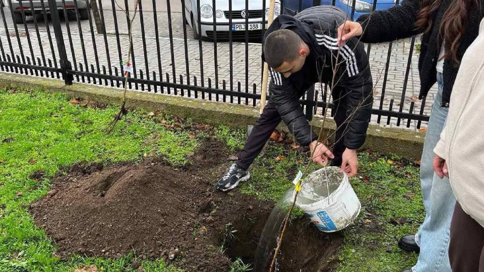 Liceul „Ion Creangă” din Cahul a plantat copaci în cadrul proiectului ecologic „Un copac pentru viitor”