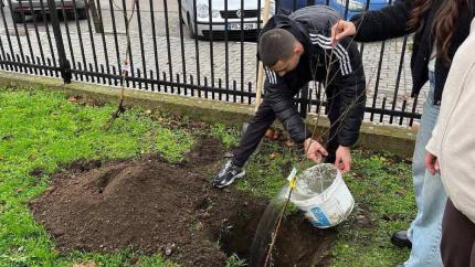 Liceul „Ion Creangă” din Cahul a plantat copaci în cadrul proiectului ecologic „Un copac pentru viitor”