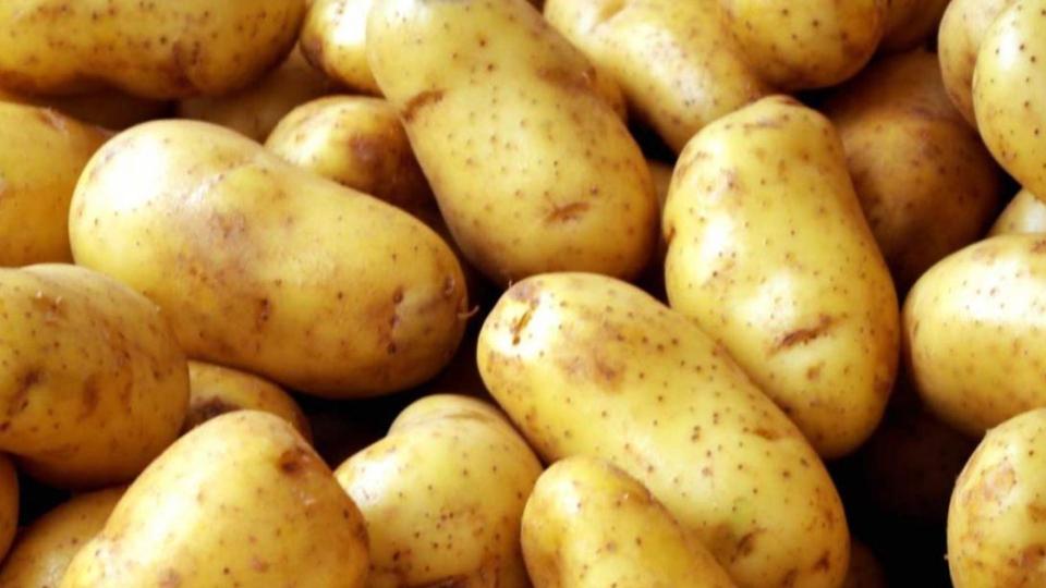 ANSA retrage de pe piață 2 tone de amidon de cartofi cu organisme modificate genetic