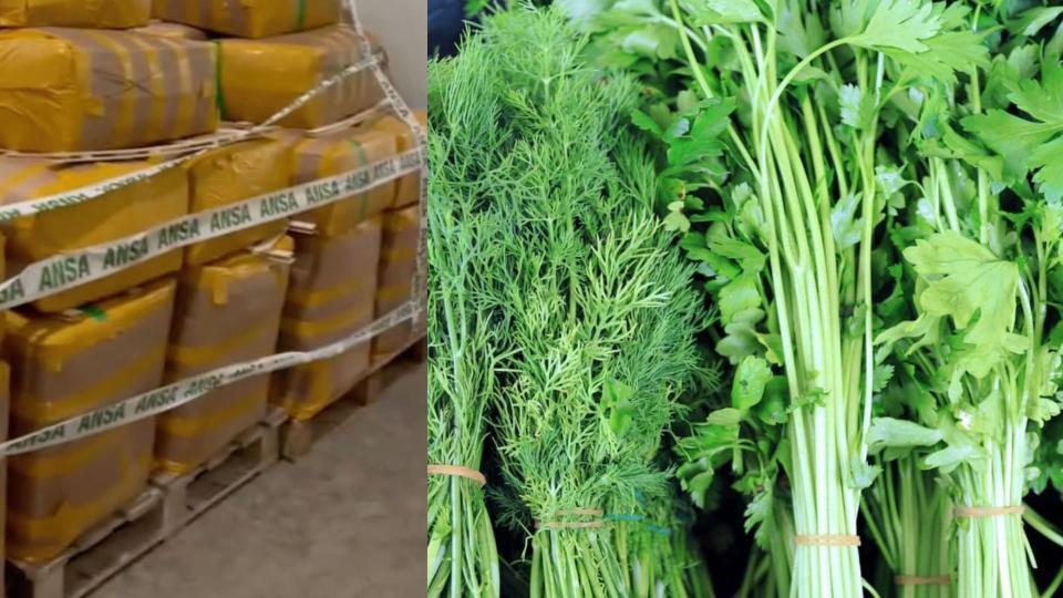 ANSA a nimicit 15 tone de mărar și pătrunjel cu pesticide, reținute la frontieră