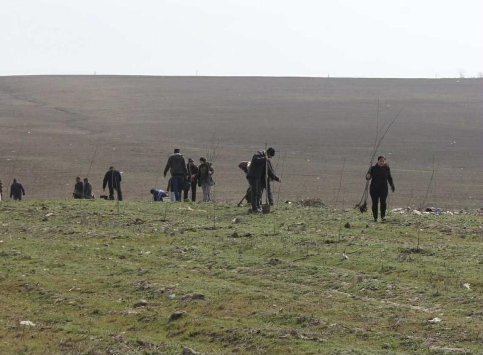 Agenția de Cooperare Transfrontalieră și Integrare Europeană s-a alăturat campaniei naționale de împădurire desfășurate în această toamnă