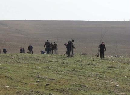 Agenția de Cooperare Transfrontalieră și Integrare Europeană s-a alăturat campaniei naționale de împădurire desfășurate în această toamnă