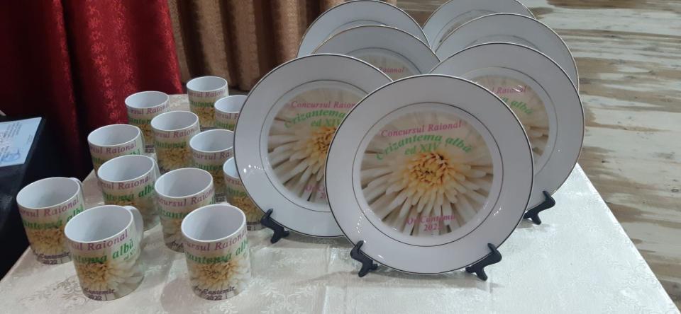 Înscrierile pentru concursul ”Crizantema albă” la Cantemir sunt deschise! Află dacă ești eligibil