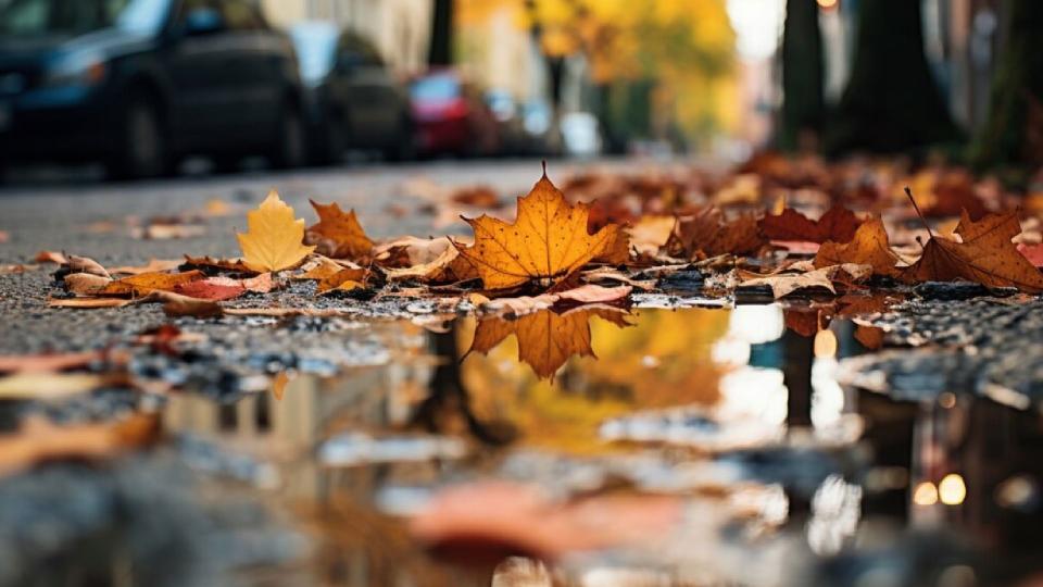 Cum va fi vremea în luna noiembrie: temperaturi peste media obișnuită și puține ploi