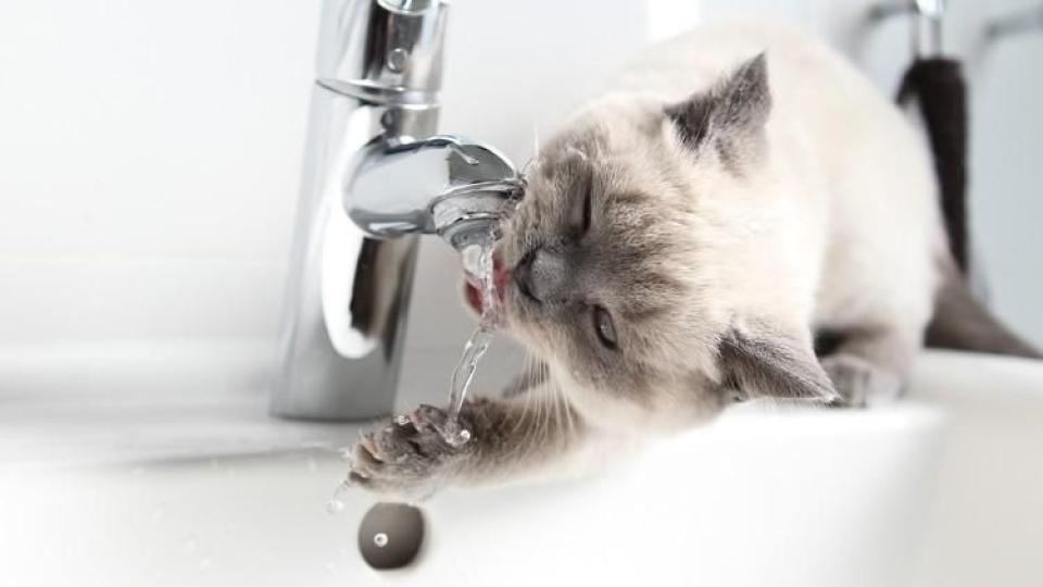 Furnizarea apei, sistată pe 11 decembrie 2025  parțial în municipiul Cahul