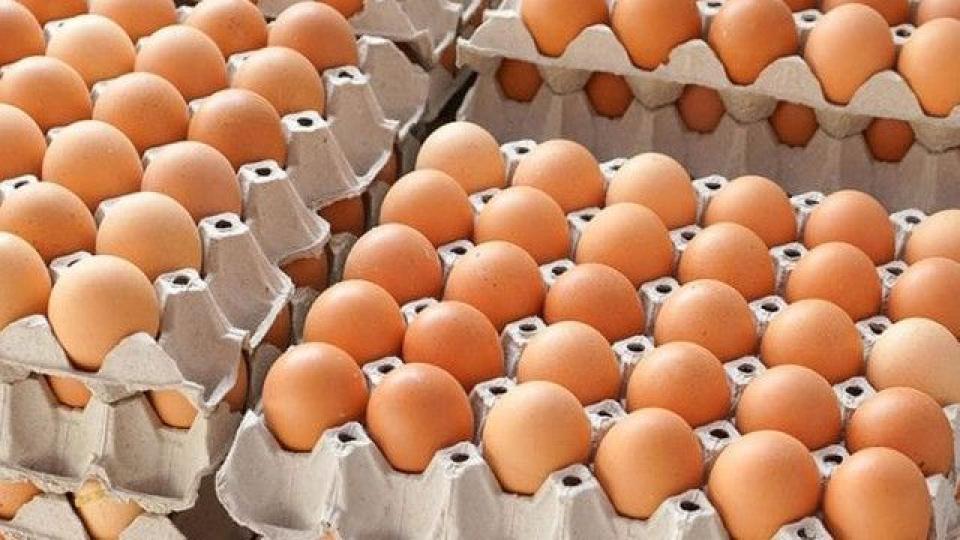 Peste 132 de mii de ouă neconforme, retrase și distruse de ANSA