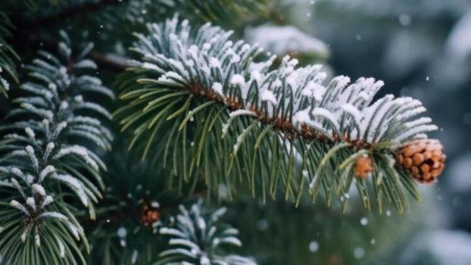 Ultimele zile din an aduc ger și ninsori slabe. Se încălzește după Revelion