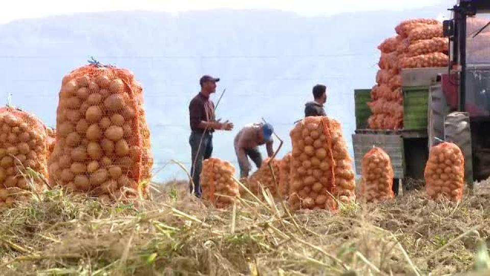 Cele mai harnice țări din lume: Pe ce loc se află Republica Moldova