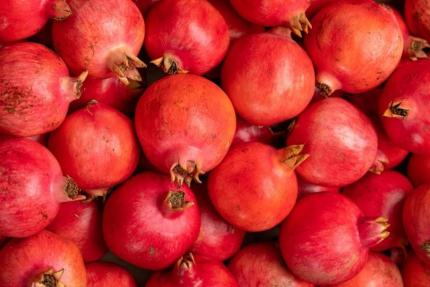 2080 kg de rodii din import nimicite sub supravegherea ANSA