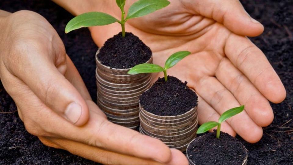 Fermierii au accesat peste 27 milioane lei în granturi prin Programul FCA