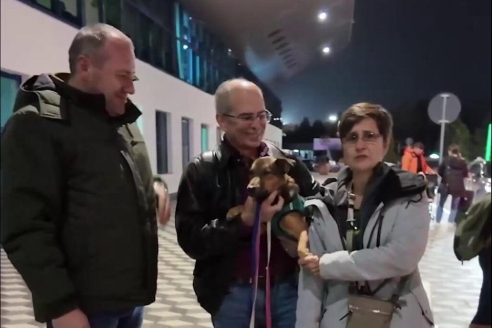 Trei câini ai străzii din Chișinău, adoptați de o familie din Statele Unite