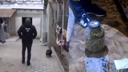 Pecheziții la Cahul și Cantemir: Rețea de droguri și arme ilegale, destructurată / VIDEO