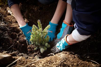 România ne va sprijini în realizarea primului inventar național al pădurilor