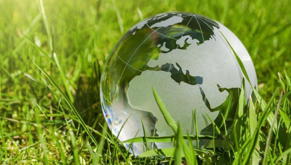 Autorizațiile de mediu vor fi eliberate prin ghișeu unic și în format electronic