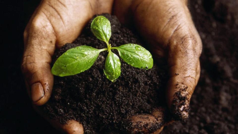 5 decembrie 2025 – Ziua Mondială a Solului 