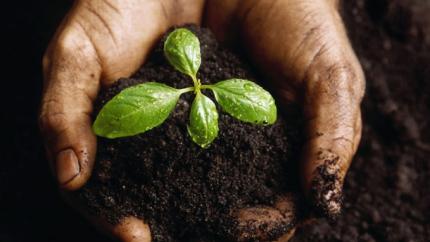 5 decembrie 2025 – Ziua Mondială a Solului 
