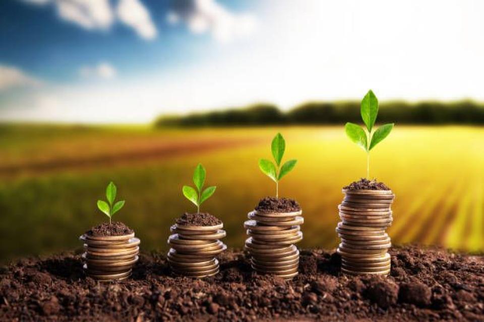 A fost lansat apelul III LEADER. Vezi cine poate aplica și până când