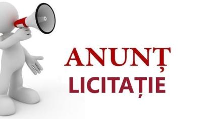 Licitație ”cu strigare” în incinta Consiliului Raional Cantemir