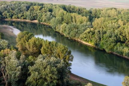 Investiții în sănătatea pădurilor: lucrări planificate pentru regenerare și protecție