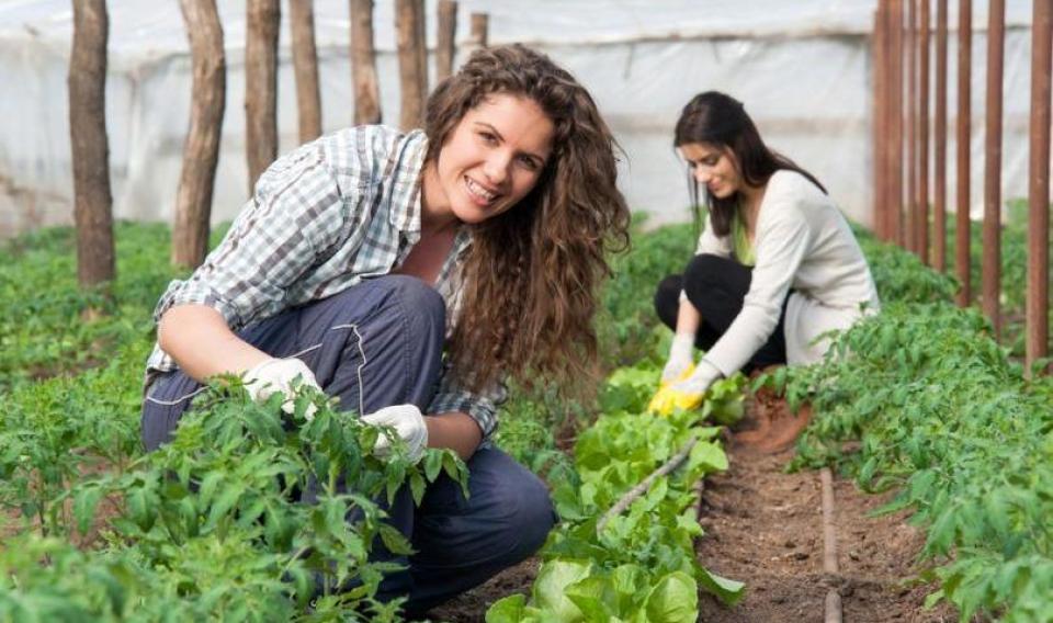 Oportunități reale pentru femeile antreprenoare din mediul rural: finanțare de până la 1 milion de lei prin UCIP IFAD