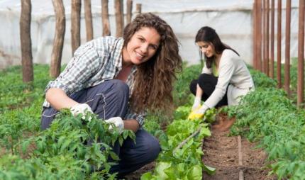 Oportunități reale pentru femeile antreprenoare din mediul rural: finanțare de până la 1 milion de lei prin UCIP IFAD