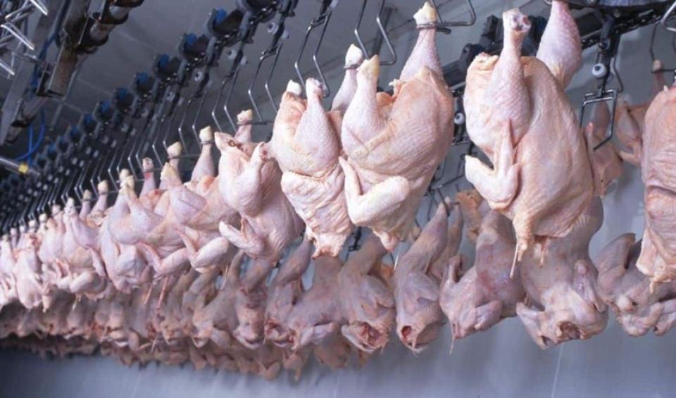 Republica Moldova, autorizată să exporte produse din carne de pasăre în Uniunea Europeană