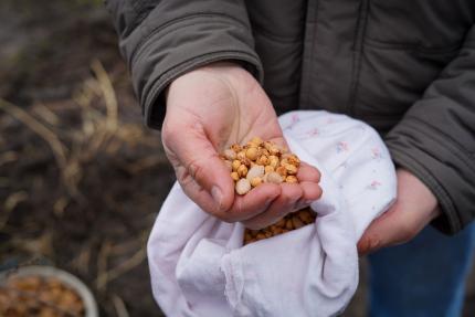 Au început pregătirile pentru sezonul de împădurire „Primăvara 2026”