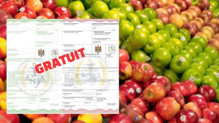 ANSA elimină taxele pentru certificatele fitosanitare destinate exportului și reexportului