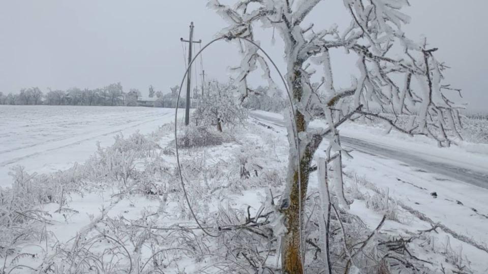 Peste 1 500 de consumatori din sudul țării au rămas fără energie electrică din cauza ninsorilor