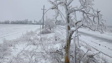 Peste 1 500 de consumatori din sudul țării au rămas fără energie electrică din cauza ninsorilor