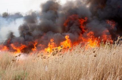 Peste 60 de hectare de vegetație, distruse de incendii în weekend: zeci de intervenții ale pompierilor