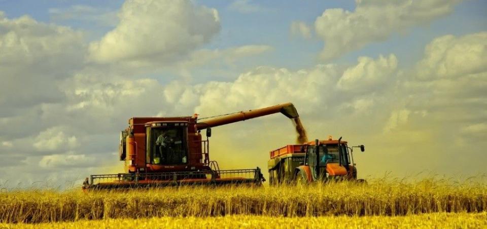 Noi măsuri de sprijin pentru fermieri: rambursarea TVA va fi simplificată