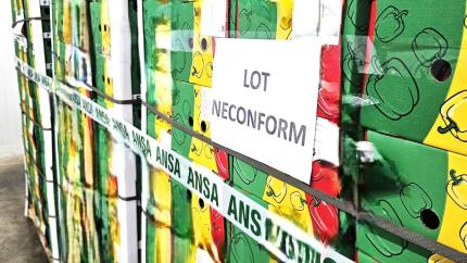 Lot de peste 9 tone de ardei de import, nimicit la frontieră: ANSA a depistat pesticide peste limita admisă