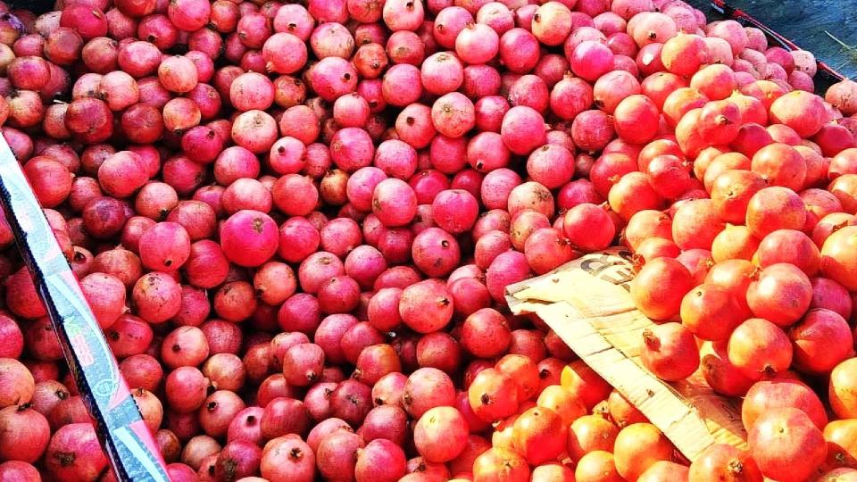 Un lot de aproape 19 tone de rodii cu pesticide peste limită, depistat la frontieră. Fructele au fost distruse