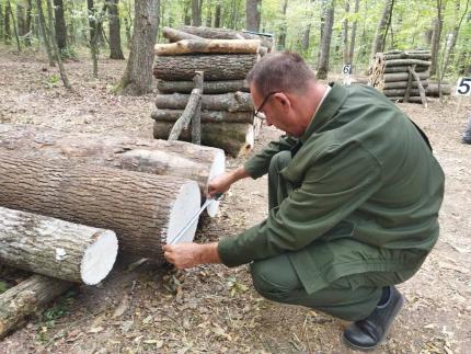 Reforma Moldsilva: salarii mai mari și responsabilități clare pentru pădurari