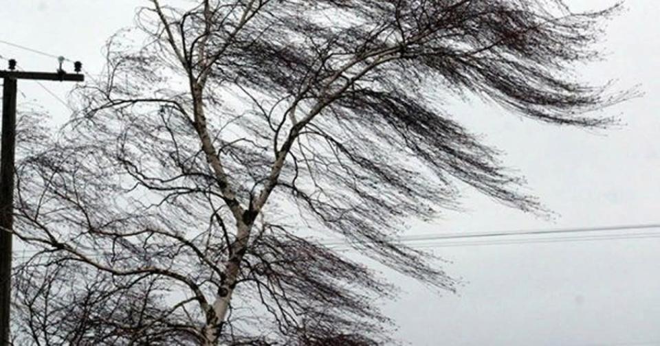 Avertizare de vânt Cod portocaliu pentru 26 aprilie. Salvatorii vin cu recomandări pentru populație