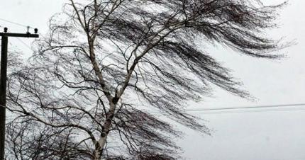 Avertizare de vânt Cod portocaliu pentru 26 aprilie. Salvatorii vin cu recomandări pentru populație