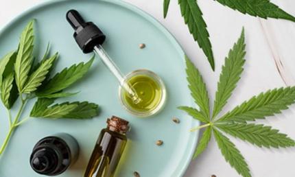 Новые правила выращивания, переработки и реализации промышленной конопли