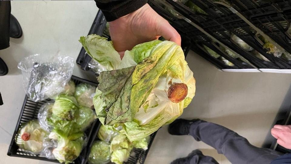 10 tone de legume alterate, oprite la frontieră: ANSA a interzis intrarea pe piață