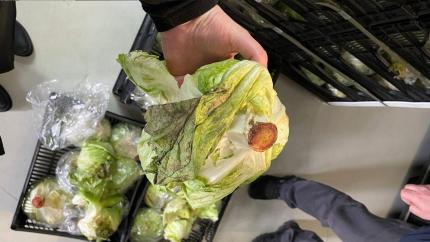 10 tone de legume alterate, oprite la frontieră: ANSA a interzis intrarea pe piață