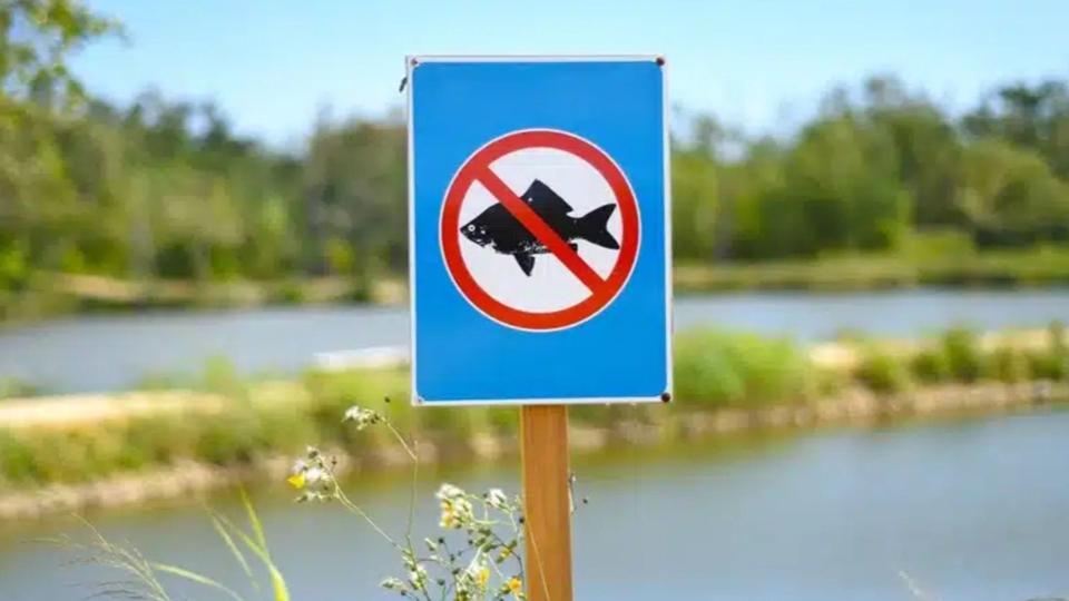 Unde și cât timp este interzis pescuitul în perioada de prohibiție