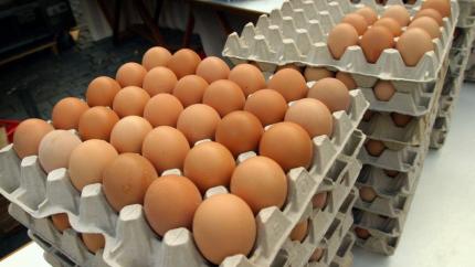 Ouăle din comerț vor fi clasificate după calitate și greutate