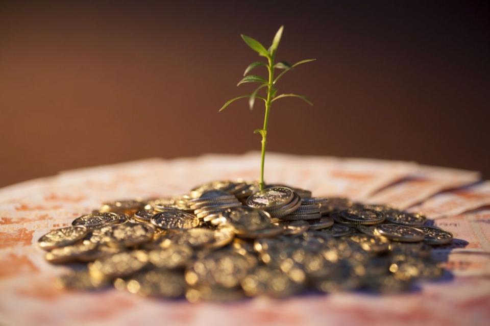 În Republica Moldova va fi posibilă aplicarea taxonomiei pentru finanțare durabilă