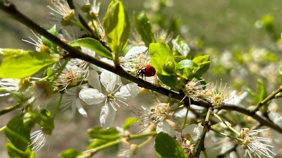 Weekend cu vreme caldă și ploi slabe