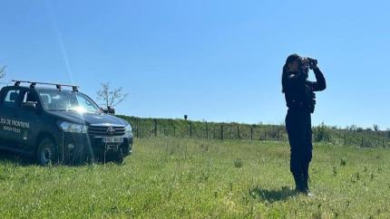 46 de persoane sancționate și cercetate la frontiera de sud în doar șapte zile