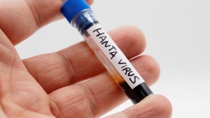 ANSP informează populația despre riscurile infecției cu hantavirus, după cazurile raportate pe o navă de croazieră