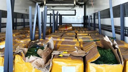 На границе обнаружены тонны некондиционных продуктов питания: Агентство ANSA уничтожило партии зелени и импортной гречихи