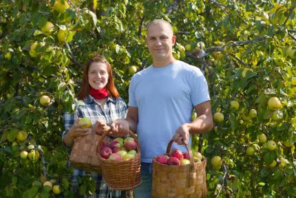 Proiectul „Livada Moldovei II”: 150 de milioane de euro pentru modernizarea agriculturii și industriei alimentare
